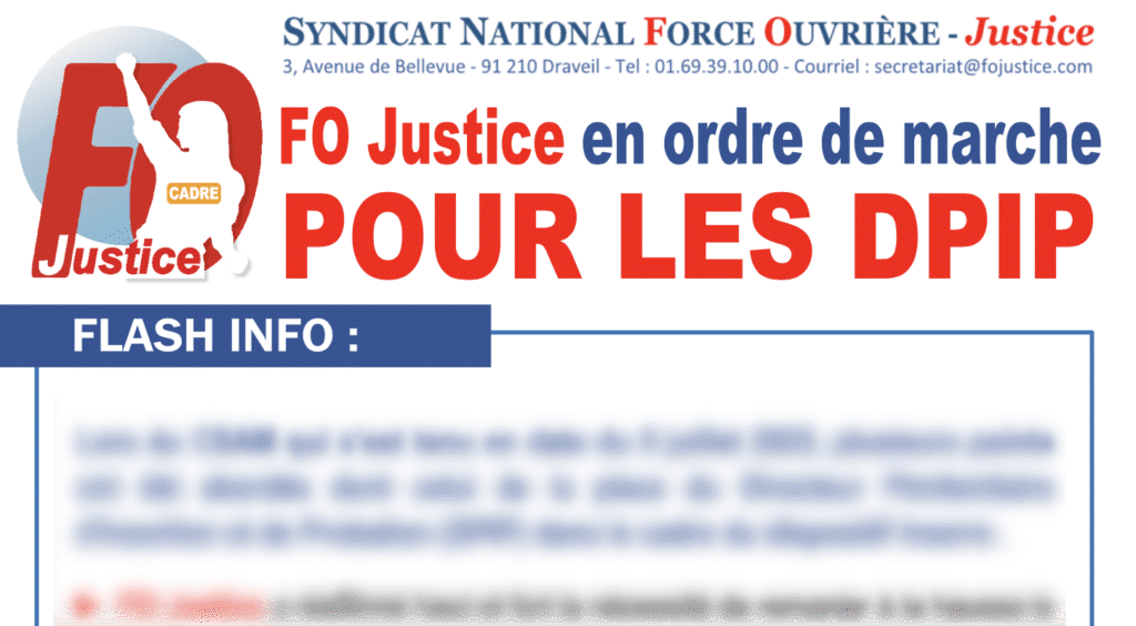 FO Justice en ordre de marche pour les DPIP !